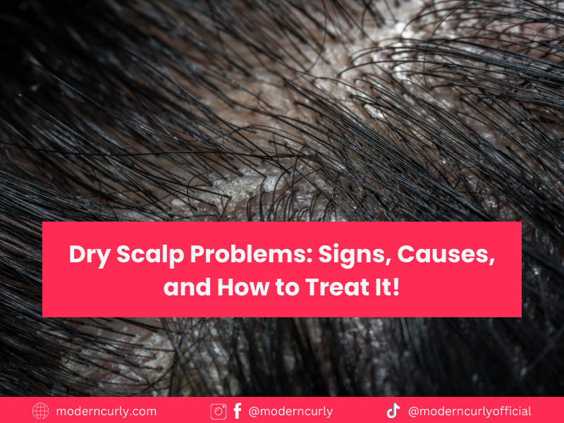 How To Take Care of Dry Scalp for Curly Hair